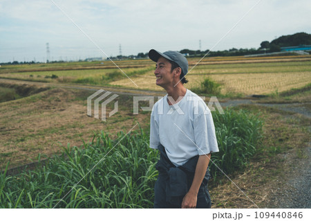 vegetable field vegetable field 109440846