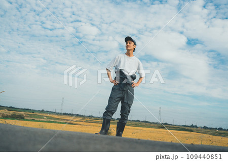 vegetable field 109440851