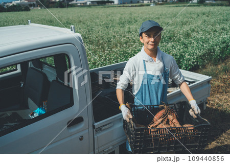 vegetable field 109440856
