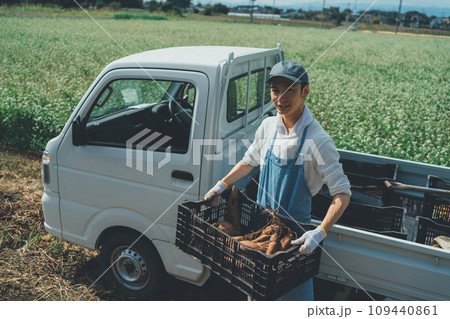 vegetable field 109440861