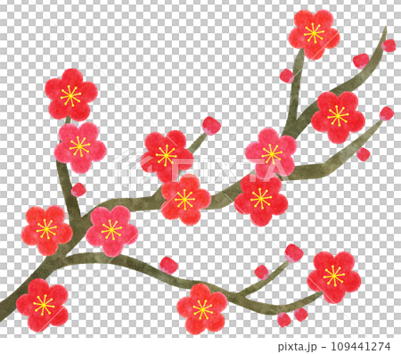 Stylish watercolor illustration of red plum (Hibai) branches - material for New Year's cards 109441274