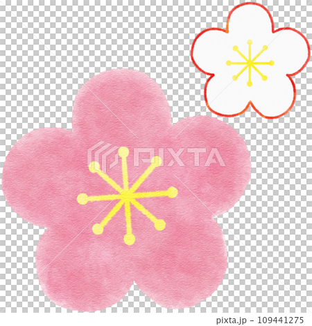 Simple watercolor illustration of pink plum (red plum) flower material for New Year's cards Simple watercolor illustration of pink plum (red plum) flower material for New Year's cards 109441275
