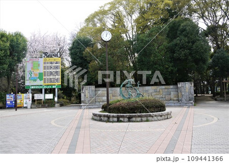 柏レイソルのホームグランド、日立台公園の桜。 109441366