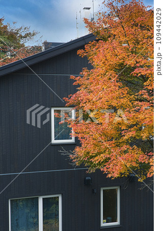 秋を探して 109442029