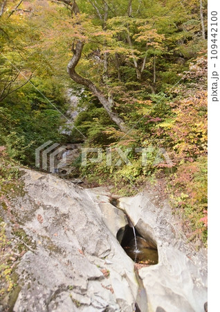 通称猿の水場と言われるポットホール 通称猿の水場と言われるポットホール 109442100