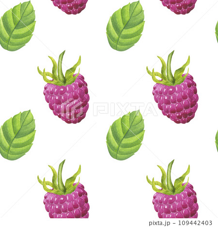 Seamless pattern pink raspberry, sweet berry with green leaves. Botanical food clipart. Hand drawn watercolor illustration isolated on white background. Printing on fabric, paper packaging 109442403