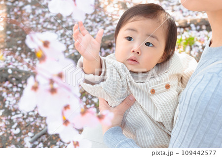 桜の咲く公園で遊ぶ赤ちゃん 109442577