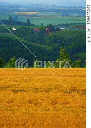 就実の丘からの風景 109443241