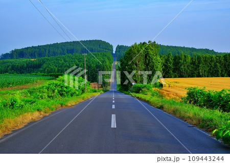 就実の丘　(北海道旭川市) 109443244