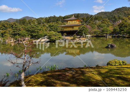 日本の春の京都 世界遺産の金閣寺 金色に輝く舎利殿 新緑と鏡湖池が美しい鹿苑寺庭園 日本の春の京都 世界遺産の金閣寺 金色に輝く舎利殿 新緑と鏡湖池が美しい鹿苑寺庭園 109443250