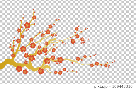 紅梅 梅の花のイラスト素材 ベクター 白バック 金の枝 109443310
