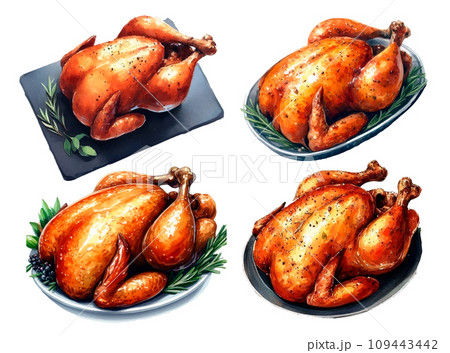 七面鳥の水彩イラストの素材セット 109443442