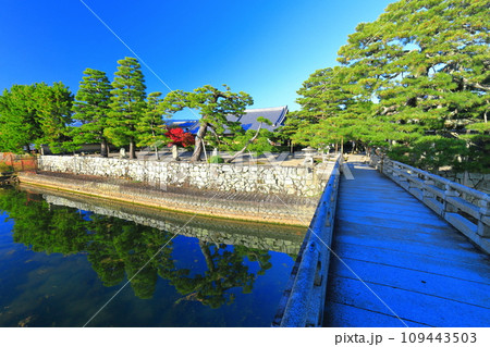 【滋賀県】快晴の浮御堂（満月寺） 109443503
