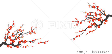 梅の花のイラスト素材 ベクター 紅梅 白バック 109443527
