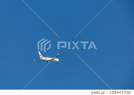 羽田空港を離陸する旅客機・航空機・日本航空ボーイング737 109443706