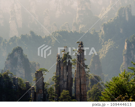 Imperial Pen Peak of Zhangjiajie. Located in Wulingyuan Scenic and Historic Interest Area (Wu Ling Yuan Feng Jing Ming Sheng Qu), Hunan, china.UNESCO World Heritage site, this National park was the Imperial Pen Peak of Zhangjiajie. Located in Wulingyuan Scenic and Historic Interest Area (Wu Ling Yuan Feng Jing Ming Sheng Qu), Hunan, china.UNESCO World Heritage site, this National park was the 109444613