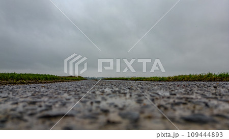 Ground Level View of a Rain-Soaked Road Ground Level View of a Rain-Soaked Road 109444893