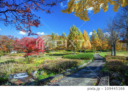 秋の月山弓張平公園 109445166