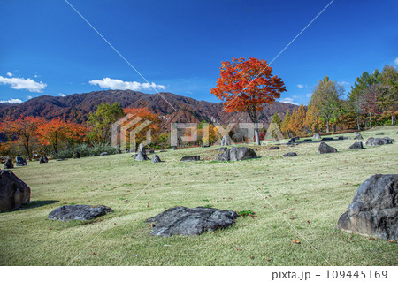 秋の月山弓張平公園 109445169
