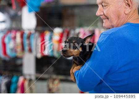 Portrait of elderly man with his doberman pinscher dog visiting pet supplies shop Portrait of elderly man with his doberman pinscher dog visiting pet supplies shop 109445895