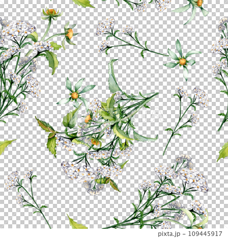 Achillea yarrow, nettle, bidens beggarticks watercolor seamless pattern isolated on white. Medicinal flowers painted. Useful herbs, medicinal plants hand drawn. Design for label, package, textile Achillea yarrow, nettle, bidens beggarticks watercolor seamless pattern isolated on white. Medicinal flowers painted. Useful herbs, medicinal plants hand drawn. Design for label, package, textile 109445917