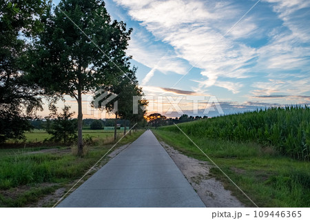 Dusk on the Country Road Dusk on the Country Road 109446365