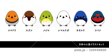 日本の小鳥ベクターイラストセット。シマエナガやスズメのかわいいアイコン。 109446600