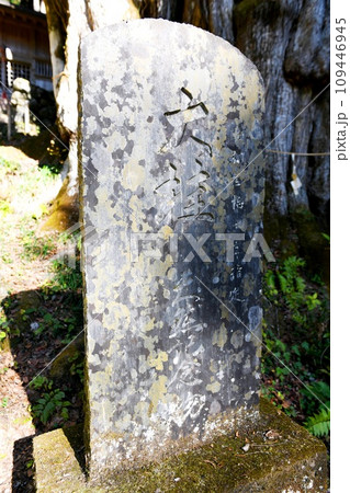 【上野原市 山梨県天然記念物「軍刀利神社奥の院」大桂石碑】 【上野原市 山梨県天然記念物「軍刀利神社奥の院」大桂石碑】 109446945