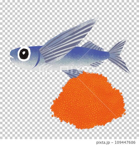 飛魚和飛魚圖解 109447686