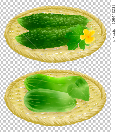 ザルにのったゴーヤと瓜のイラストセット 109448235