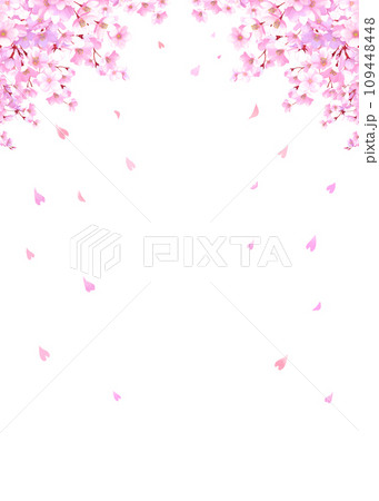 桜と舞い散る花びらのフレーム 桜吹雪 縦長 桜と舞い散る花びらのフレーム 桜吹雪 縦長 109448448