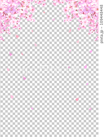 桜と舞い散る花びらのフレーム 桜吹雪 縦長 桜と舞い散る花びらのフレーム 桜吹雪 縦長 109448448