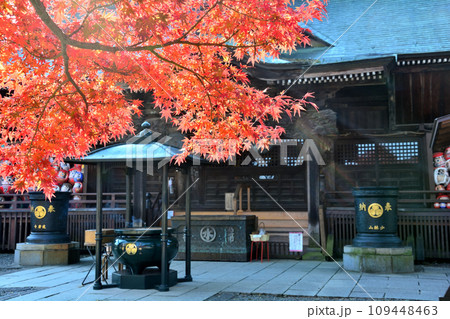 少林山達磨寺の霊符堂と紅葉 少林山達磨寺の霊符堂と紅葉 109448463