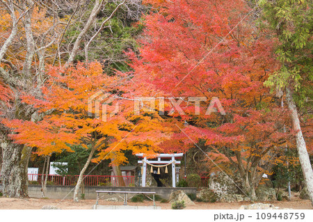 藤ヶ崎龍神風景 109448759