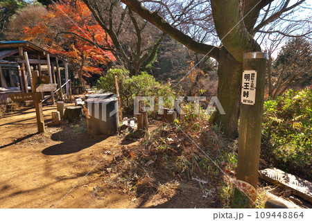 秋の明王峠 109448864