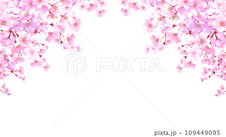 桜のフレーム背景　16:9 109449095