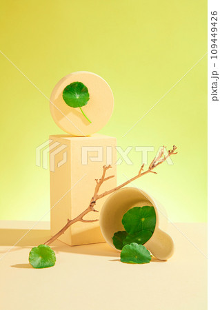 Creative background for advertising product with ingredient from centella asiatica. Fresh gotu kola leaves with beige props and podium decorated on green background Creative background for advertising product with ingredient from centella asiatica. Fresh gotu kola leaves with beige props and podium decorated on green background 109449426