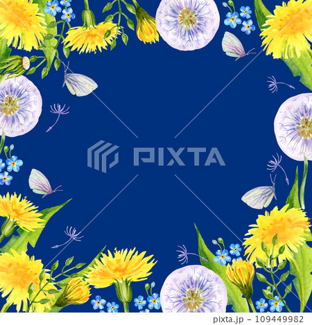 watercolor square frame with summer field flowers, hand draw illustration of yellow dandelions and blow balls, leaves, herbs, butterfly on blue background 109449982