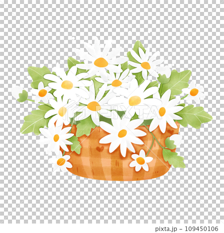 White Daisy in the basket 109450106