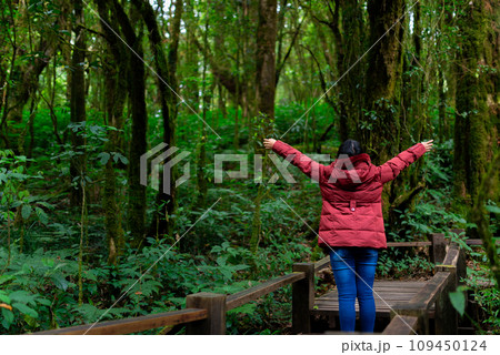 Female photographer taking nature pictures inside the rainforest 109450124