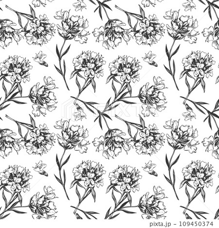 Thyme branch vector illustration isolated on white. Seamless floral pattern. A spicy ingredient in tea and Mediterranean cuisine. Herbs design for tea packaging, cosmetics, kitchen textiles, menu. 109450374