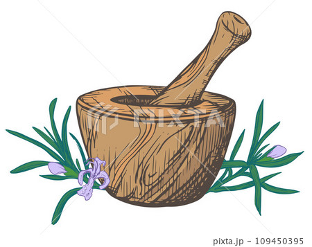 Rosemary and a wooden mortar for crushing herbs. Vector illustration of aromatic herbs, spices. Hand sketch in engraving technique. Separate design elements in a rustic style. Rosemary and a wooden mortar for crushing herbs. Vector illustration of aromatic herbs, spices. Hand sketch in engraving technique. Separate design elements in a rustic style. 109450395