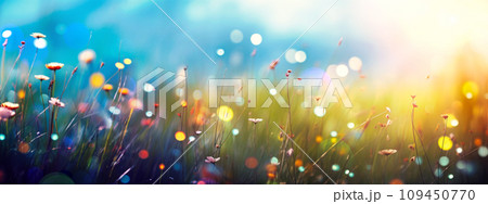 grass and wild flowers in meadow natural background at sunset, blurred bokeh grass and wild flowers in meadow natural background at sunset, blurred bokeh 109450770