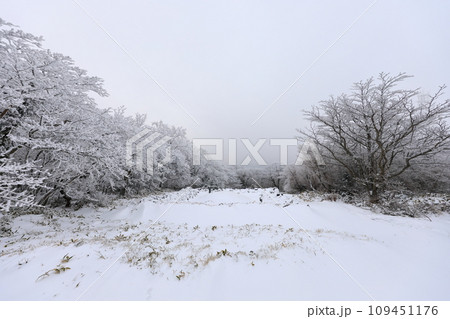 This is a winter landscape of 1100 Hill Wetland, a famous tourist attraction in Jeju Island, South Korea. 109451176