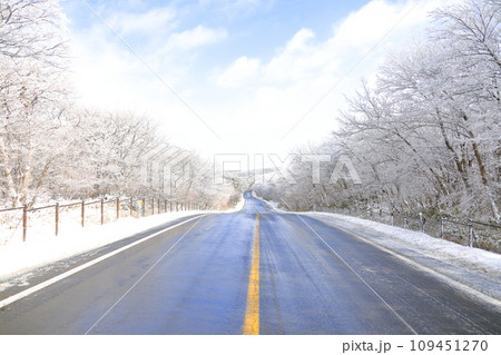 This is a winter landscape of 1100 Hill Wetland, a famous tourist attraction in Jeju Island, South Korea. 109451270