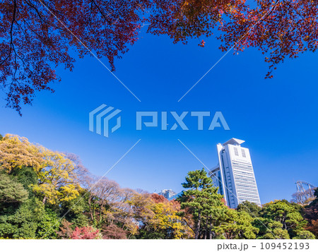 (東京)紅葉が美しい・小石川後楽園 (東京)紅葉が美しい・小石川後楽園 109452193