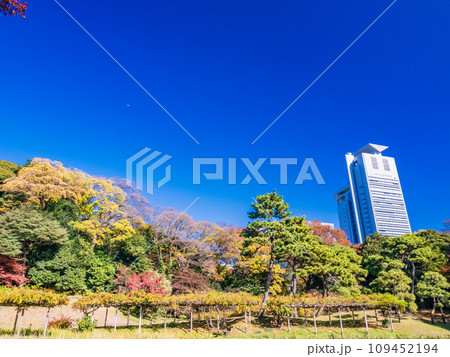 (東京)紅葉が美しい・小石川後楽園 (東京)紅葉が美しい・小石川後楽園 109452194
