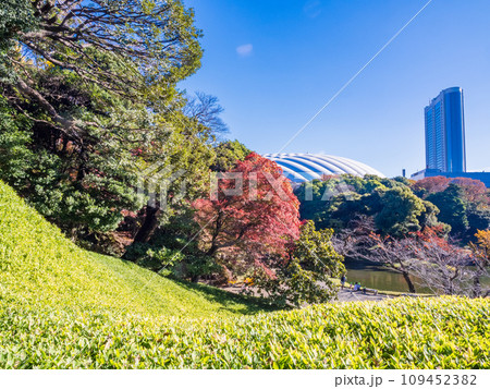 (東京)紅葉が美しい・小石川後楽園 (東京)紅葉が美しい・小石川後楽園 109452382