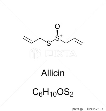 Allicin, Chemical Formula And Structure....のイラスト素材 [109452594] - PIXTA