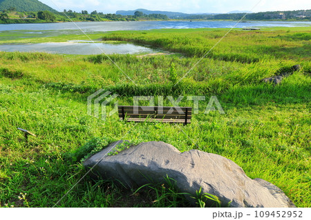 This is a beautiful view of the migratory bird sanctuary, a famous tourist attraction on Jeju Island, South Korea. This is a beautiful view of the migratory bird sanctuary, a famous tourist attraction on Jeju Island, South Korea. 109452952